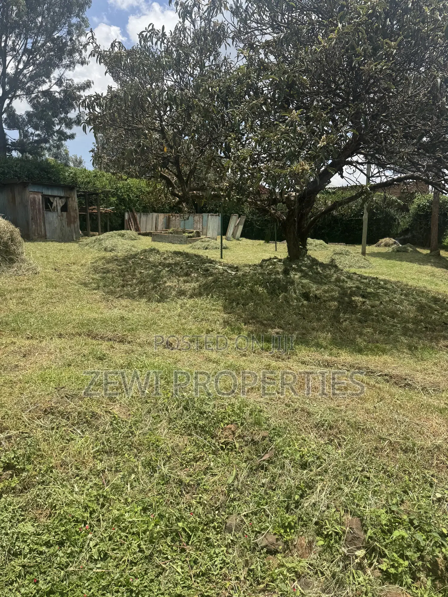 Quarter Bondeni Maasai Road