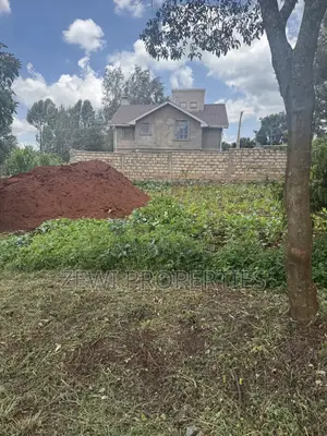 Quarter Bondeni Maasai Road