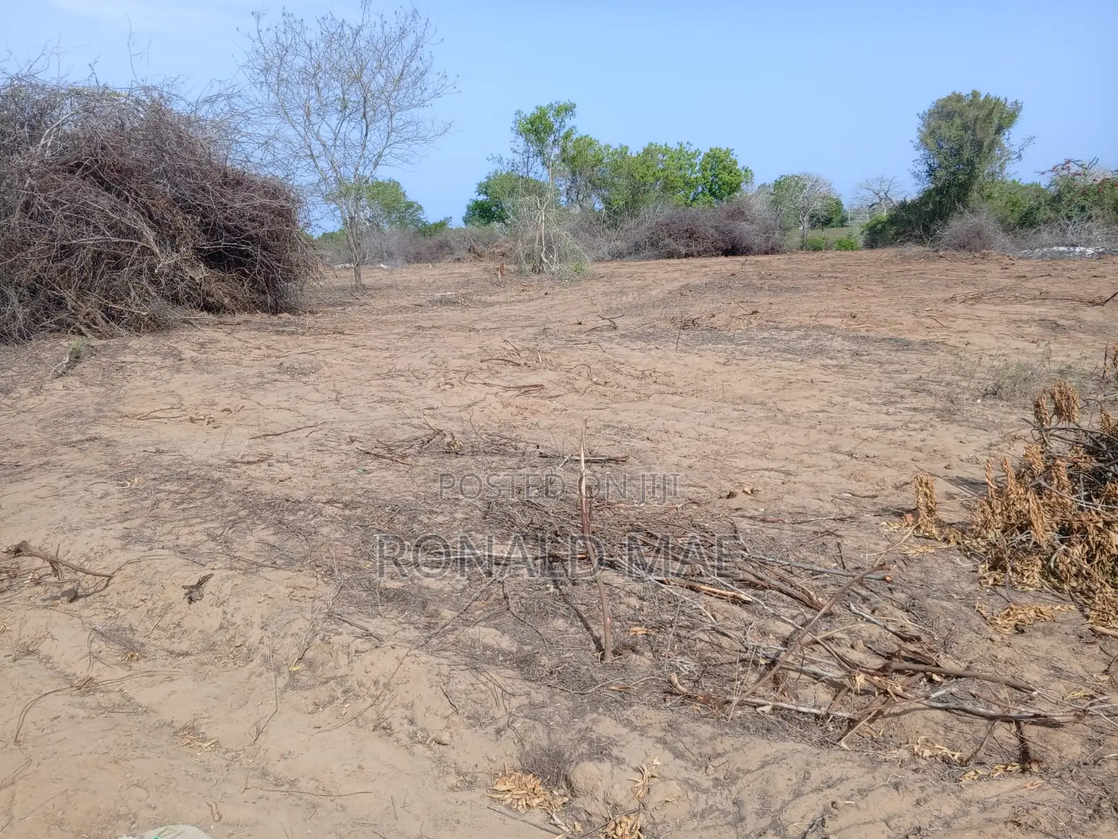 Lands in Kilifi County