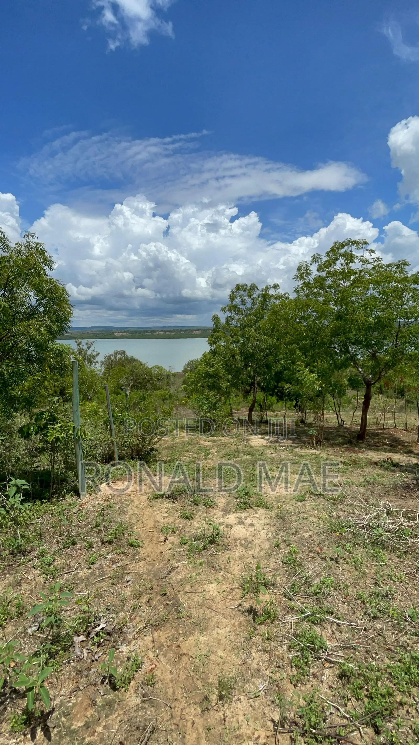 Lands in Kilifi County