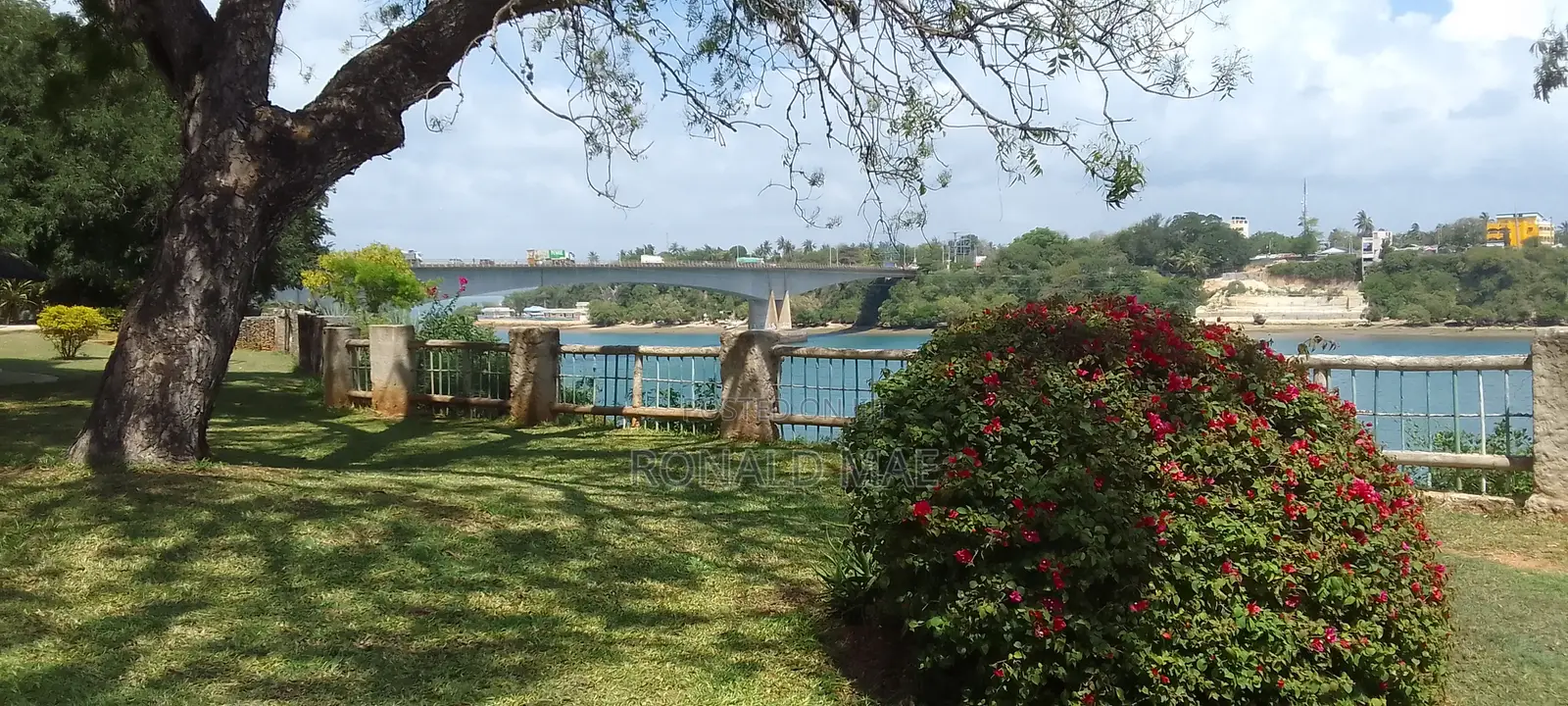 Lands in Kilifi County
