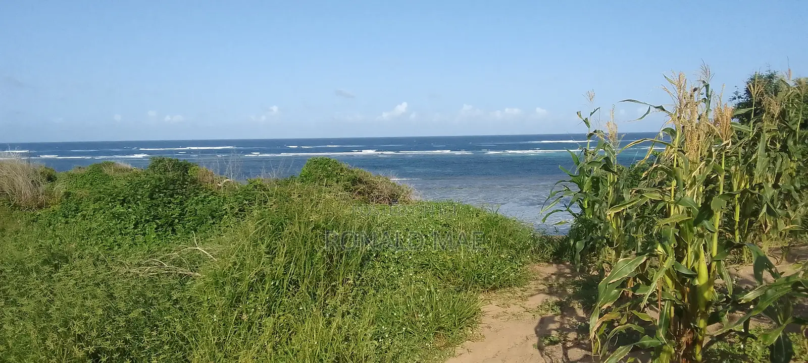 Lands in Kilifi County