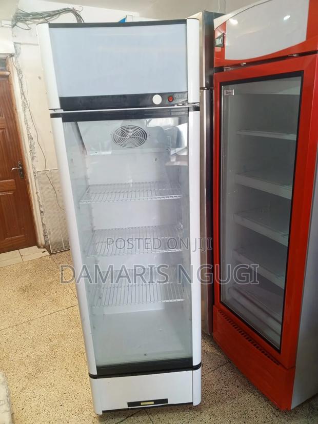 Elagant Display Fridge