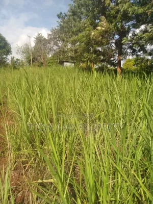 4.5acres Tea Iria-Ini Othaya