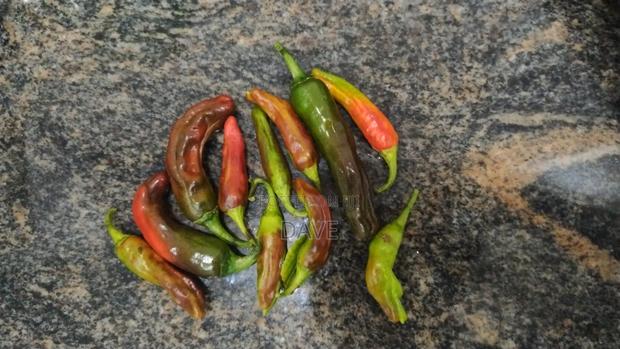 Fresh Shishito Peppers - main view