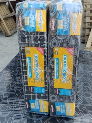 3 1⁄2×6 Morning Glory Quilted Top Foam Mattress 6”