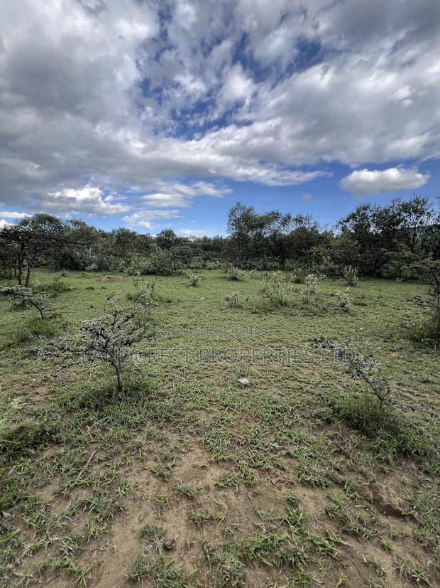1/2 Acre for Sale in Naivasha, Longonot - thumbnail 2