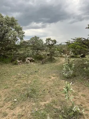 1/2 Acre for Sale in Naivasha, Longonot