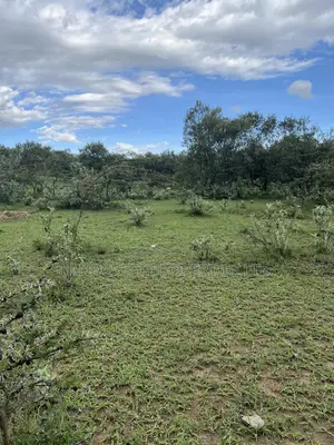 1/2 Acre for Sale in Naivasha, Longonot