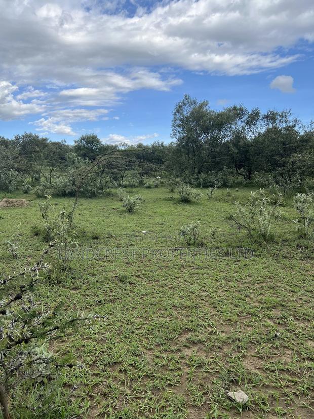 1/2 Acre for Sale in Naivasha, Longonot - thumbnail 4
