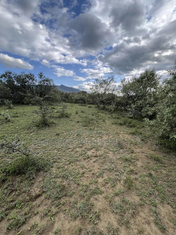 1/2 Acre for Sale in Naivasha, Longonot - thumbnail 5