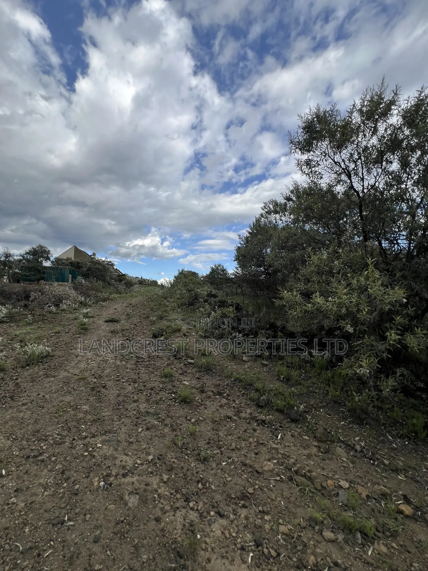 1/2 Acre for Sale in Naivasha, Longonot