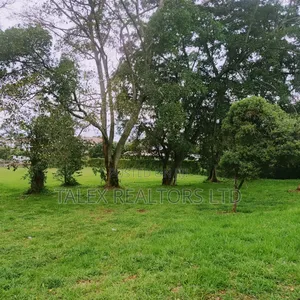 Karen Hills: Luxury 1-Acre Plots in Karen With Ngong Hills View