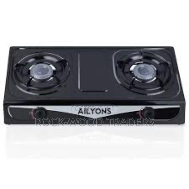 Stainless 2 Burner