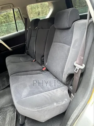 Toyota Land Cruiser Prado 2.8 2019 Silver