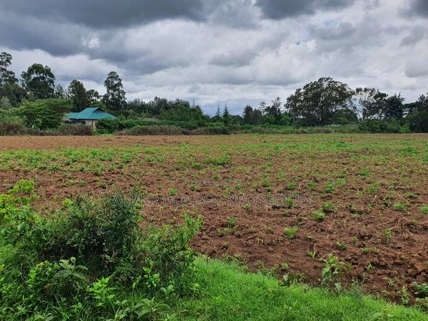 Nanyuki 1 Acre - thumbnail 2