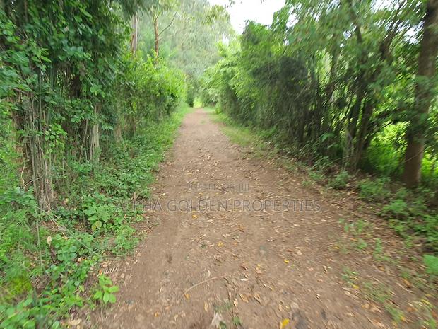 Nanyuki 1 Acre - thumbnail 3