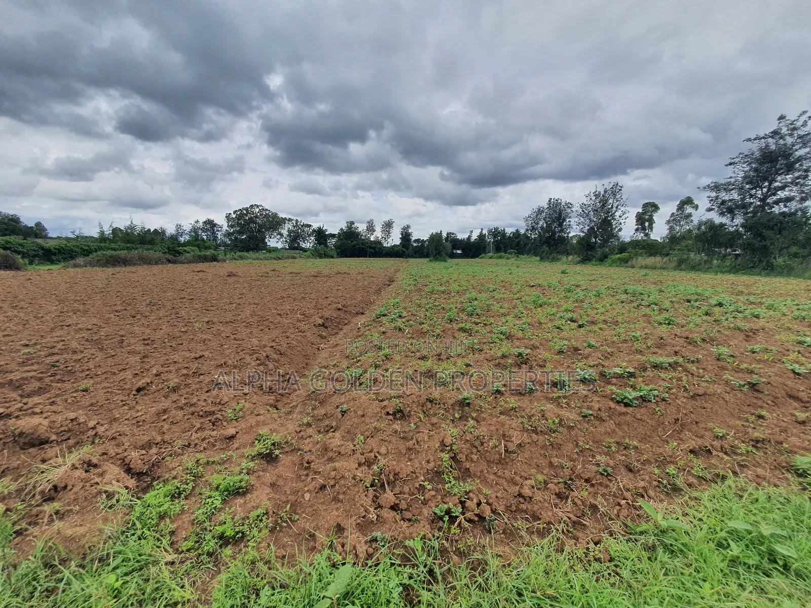 Nanyuki 1 Acre