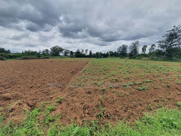 Nanyuki 1 Acre - thumbnail 4