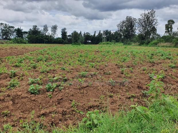 Nanyuki 1 Acre - thumbnail 5