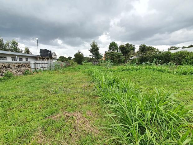1 Acre in Nanyuki Fronting River - thumbnail 2