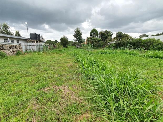1 Acre in Nanyuki Fronting River - thumbnail 3