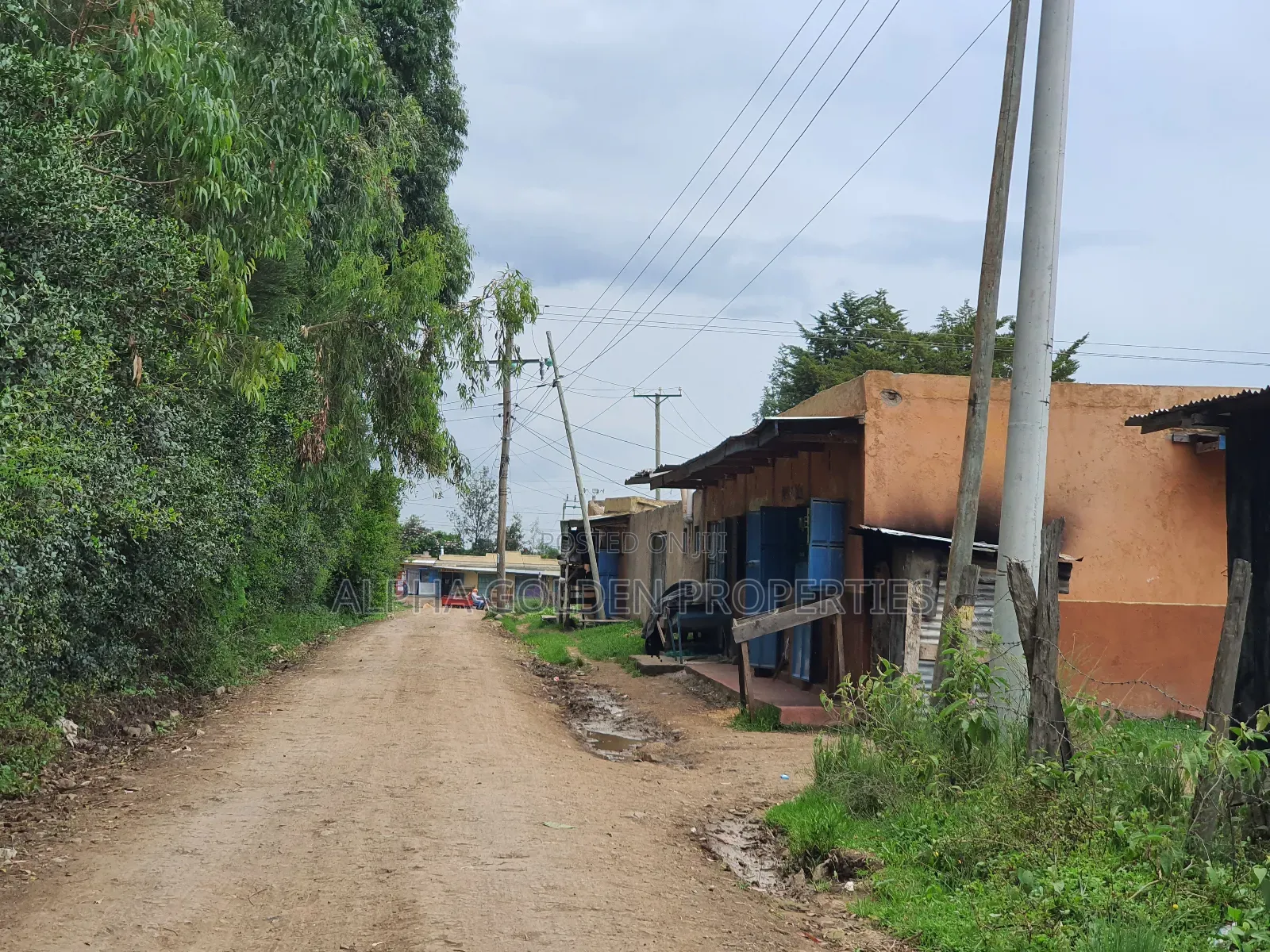 1 Acre in Nanyuki Fronting River