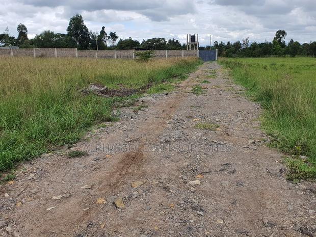 Half Acre in Nanyuki