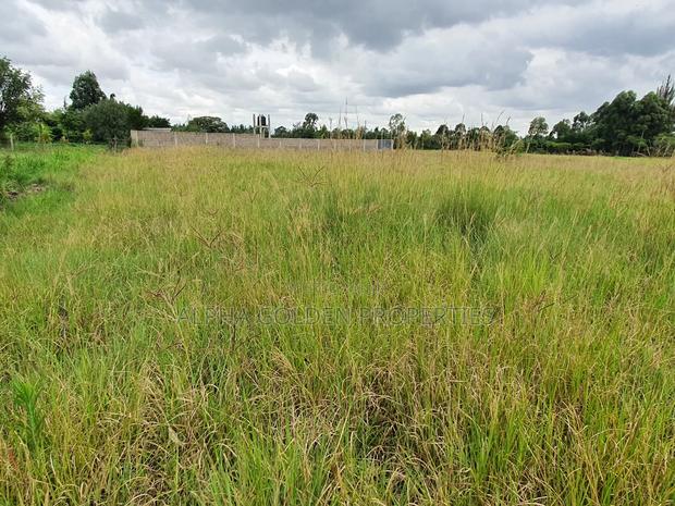 Half Acre in Nanyuki - thumbnail 2
