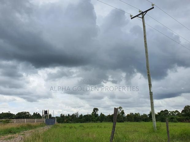 Half Acre in Nanyuki - thumbnail 3