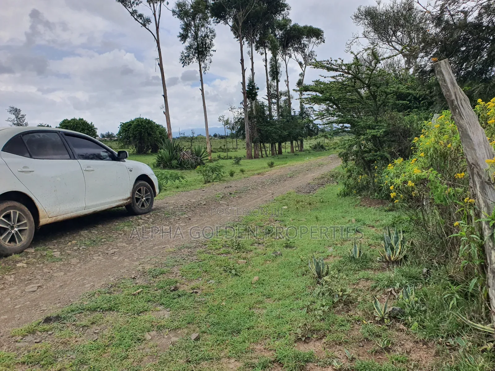 18 Acres in Nanyuki