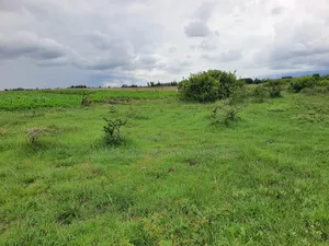 18 Acres in Nanyuki