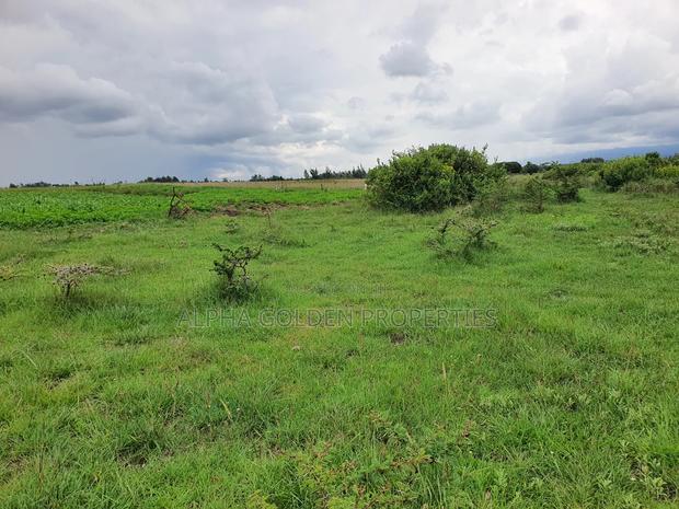 18 Acres in Nanyuki - thumbnail 3