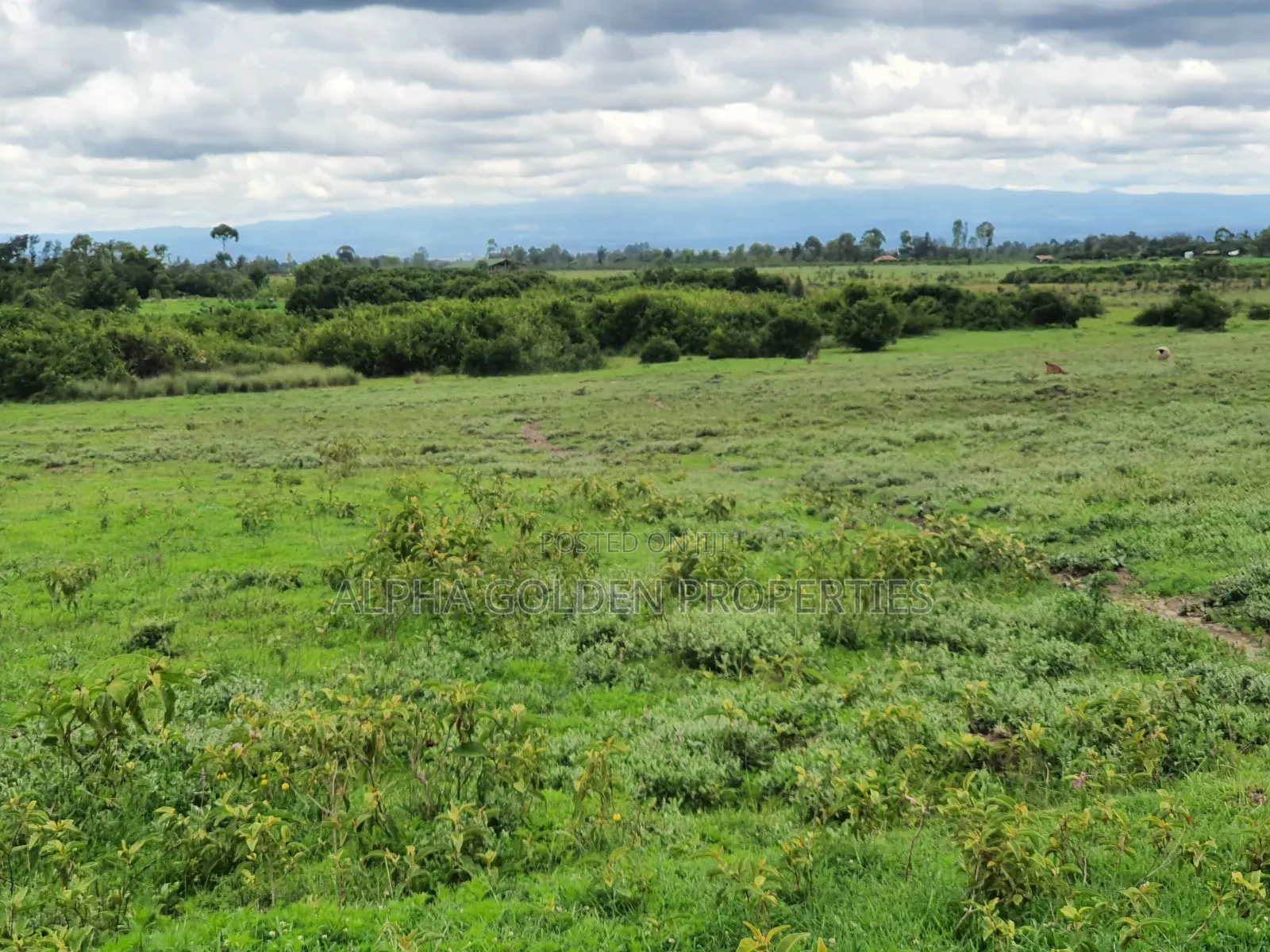 18 Acres in Nanyuki