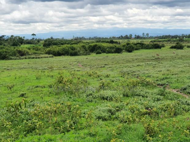 18 Acres in Nanyuki - thumbnail 5