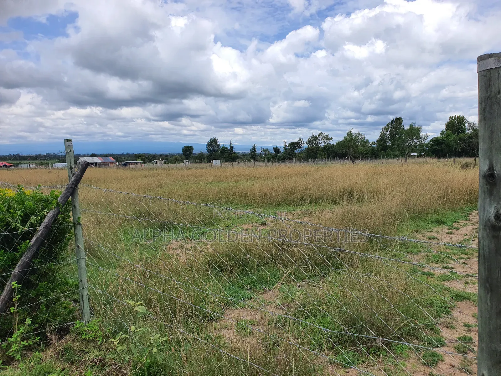 2 Acres in Sweetwaters [ Nanyuki ]