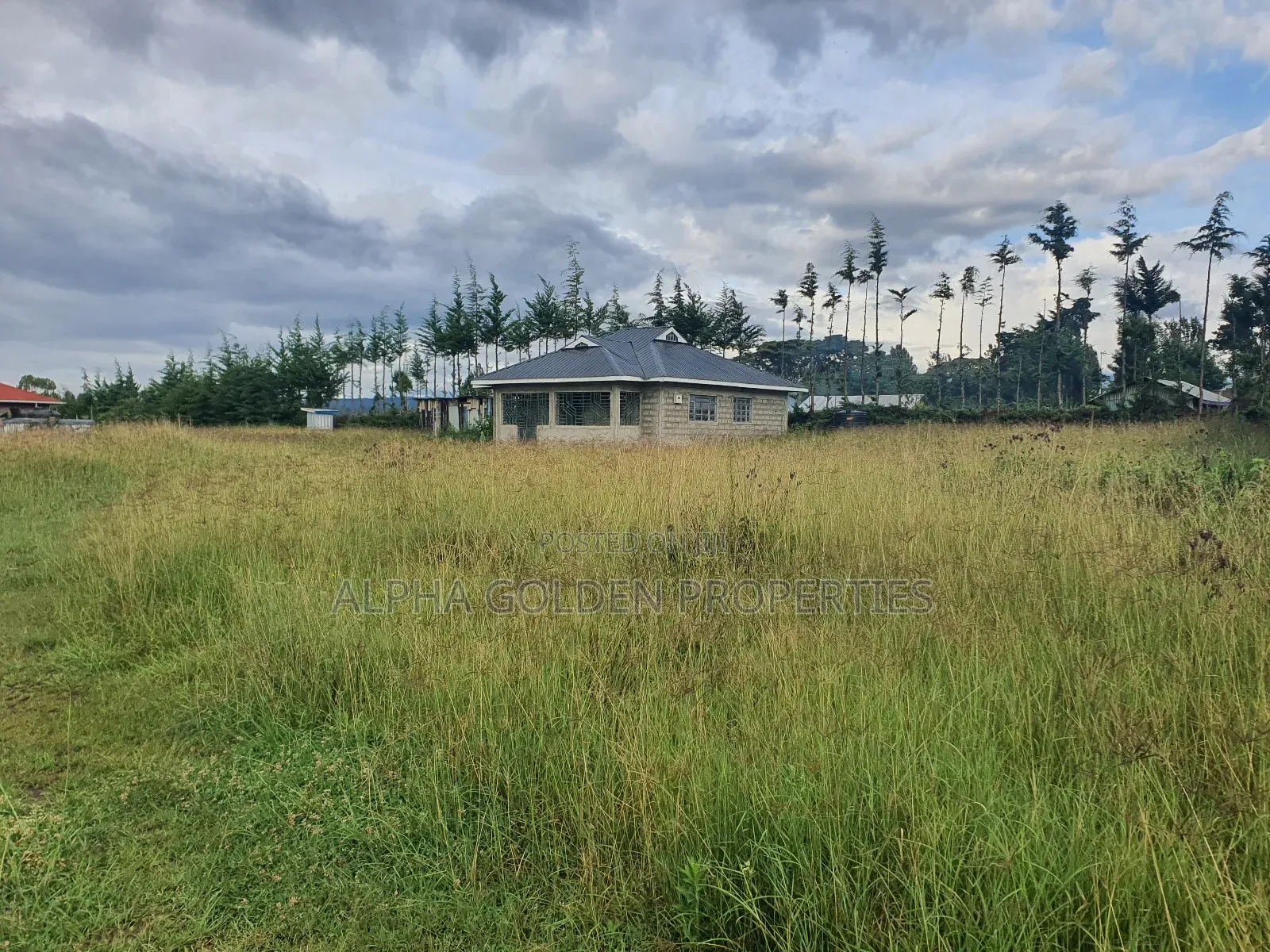 2 Acres in Giachuma
