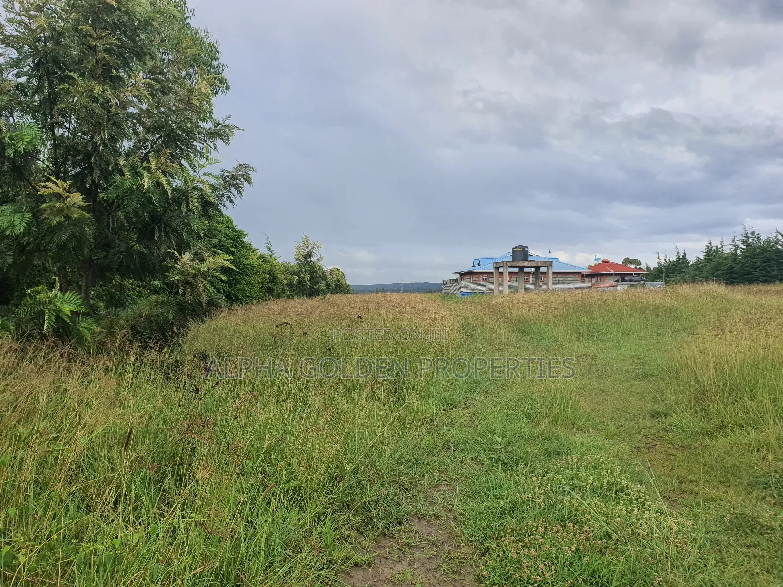 2 Acres in Giachuma