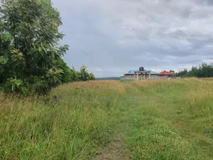 2 Acres in Giachuma