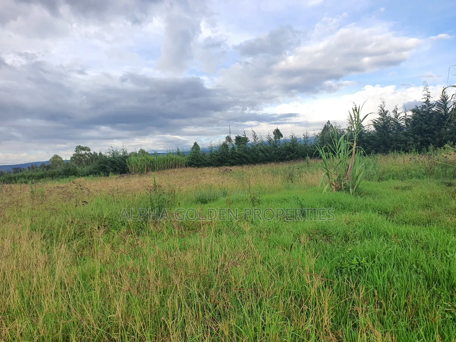 2 Acres in Giachuma