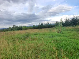 2 Acres in Giachuma