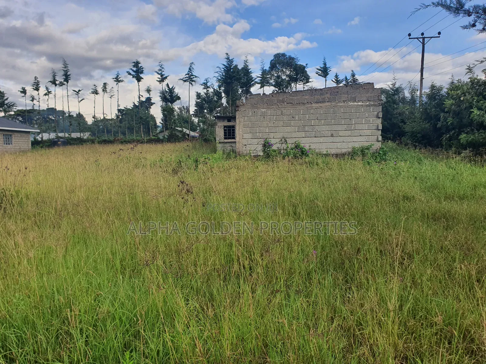 2 Acres in Giachuma