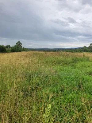2 Acres in Giachuma