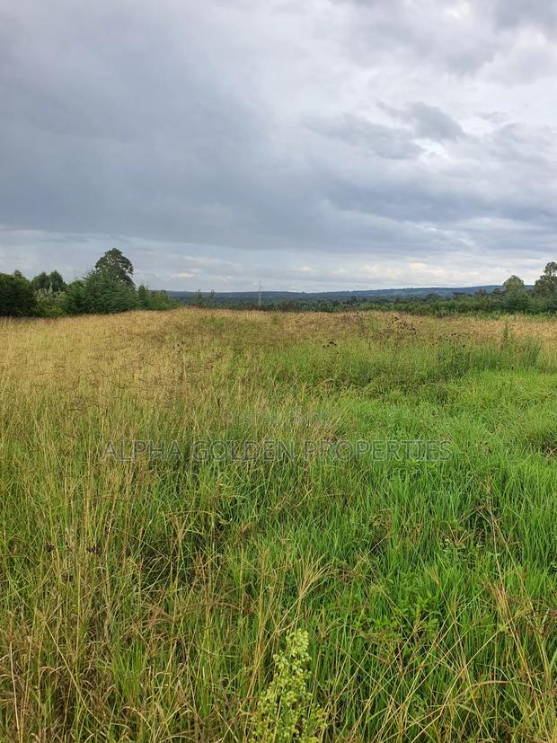 2 Acres in Giachuma - thumbnail 5
