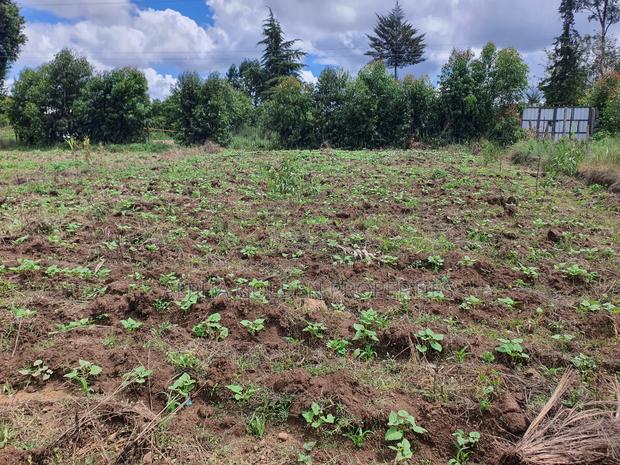 1 Acre in Nanyuki - thumbnail 4