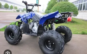 Quad Bike Bike Engine: 110-125cc, 4-Stroke Speed: 35-55 M/H