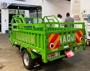 New Haojin HJ250ZH-10 2025 Green