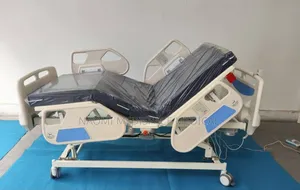 3 Function Electric Bed With Matress