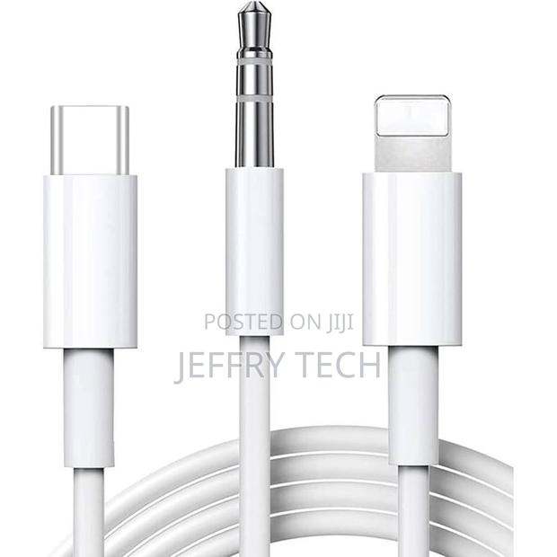 Type C and Lightning to 3.5mm Male Aux