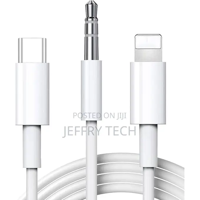 Type C and Lightning to 3.5mm Male Aux